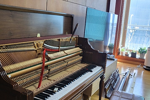 대성상회 이미지