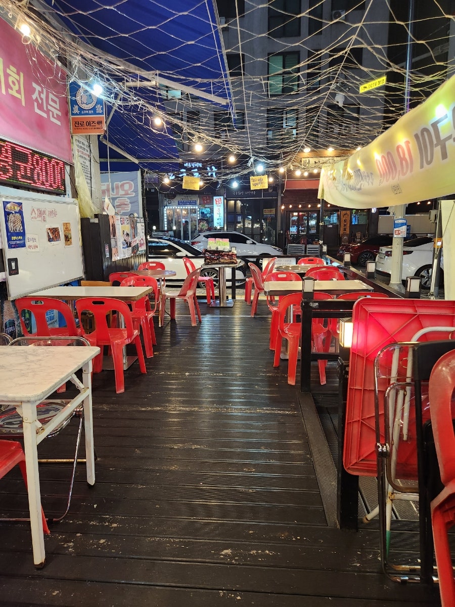 오징어나라 강남대점 사진 3