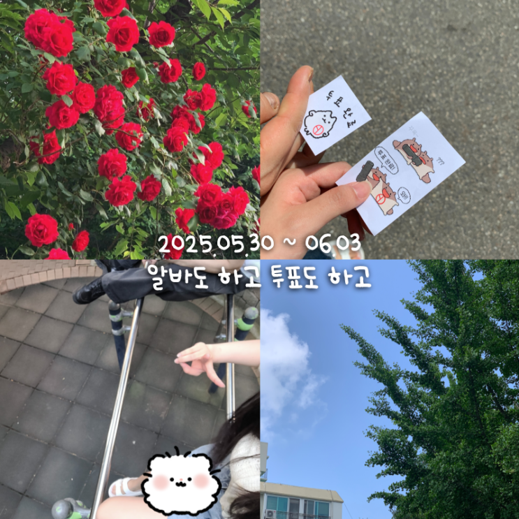  6월일상 1 :: 알바도 하고 투표도 하고