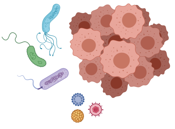  [Microbiome 연구] NGS분석을 이용한 정밀의학, 메타지놈을 이용한 암 진단과 바이오마커_한국의과학연구원(마이크로바이옴센터)