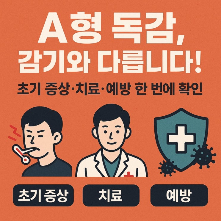  A형 독감 증상·전염·치료·예방법 완전 가이드 