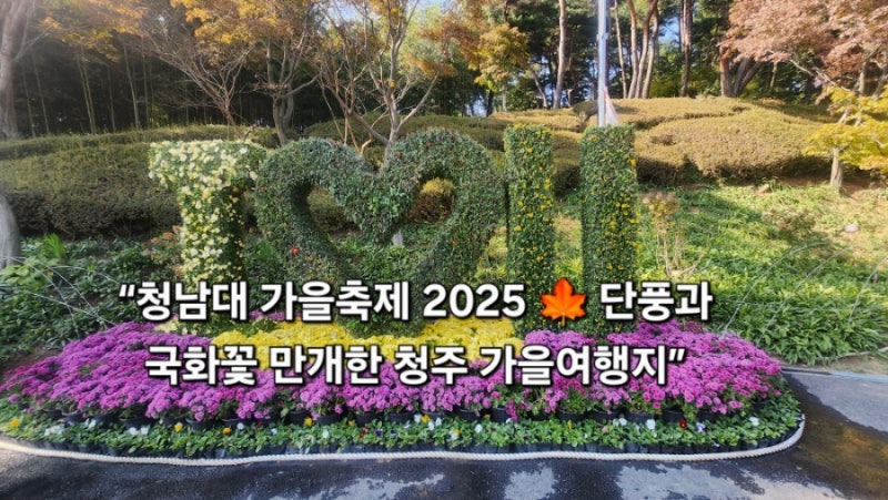 “청남대 가을축제 단풍과 국화꽃 만개한 청주 가을여행지”