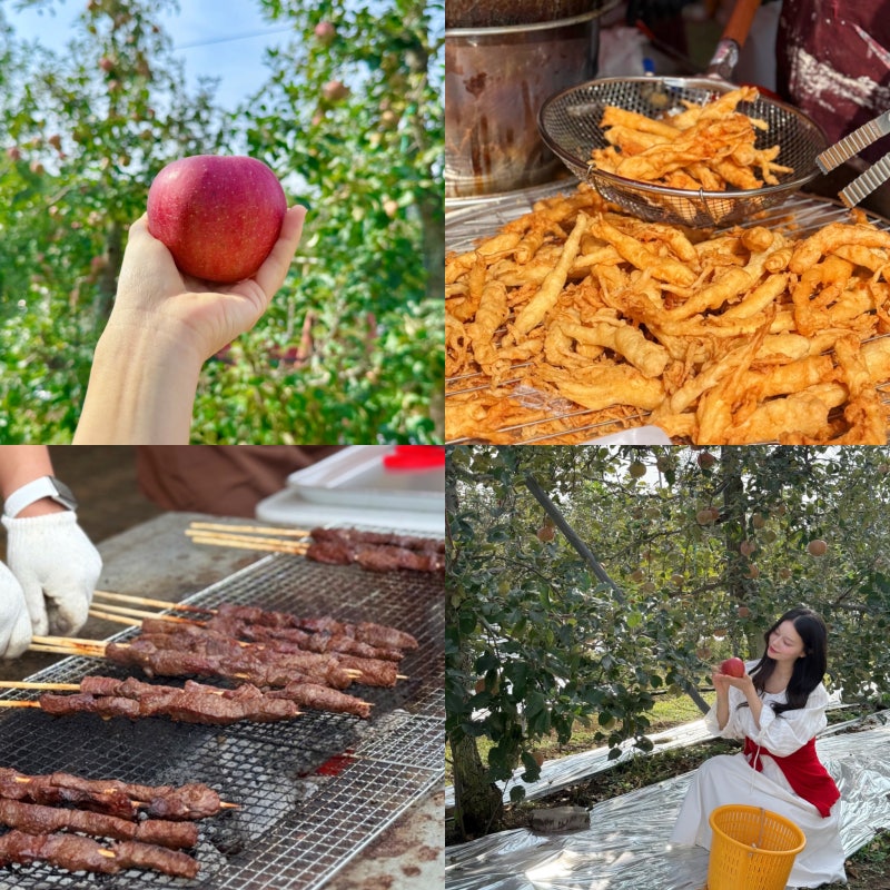 강원도 축제 홍천 가볼만한곳 여행 홍천사과축제