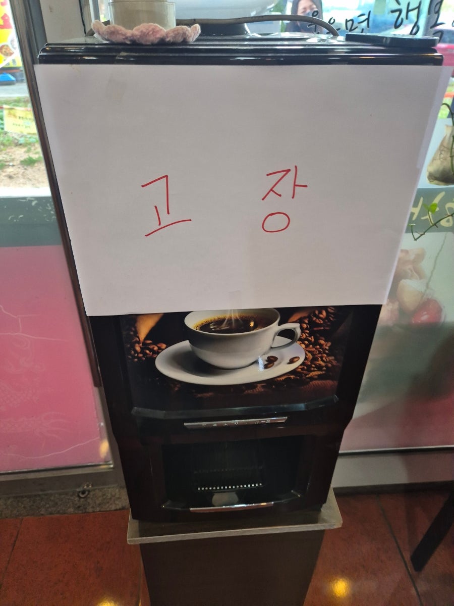 강차이 사진 5