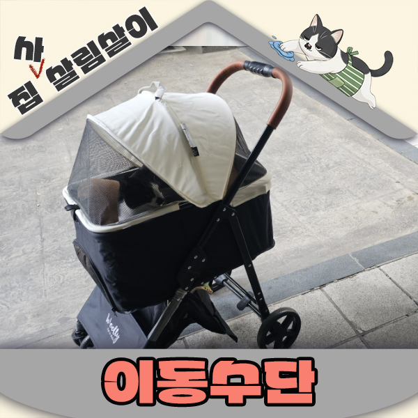  고양이 이동의 모든것 병원갈때 어떻게 갈까? 고양이 이동수단 현실가이드
