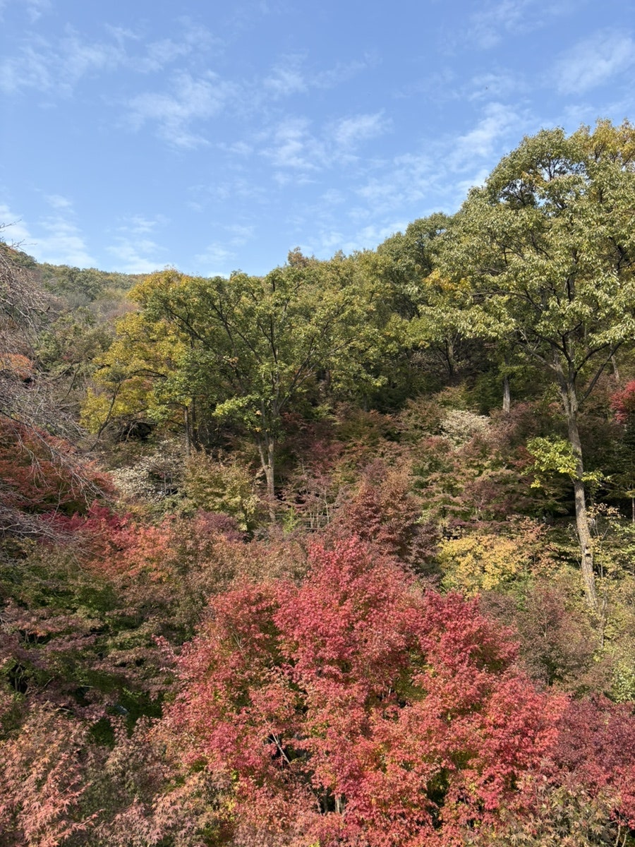 심봤다두루치기 사진 2