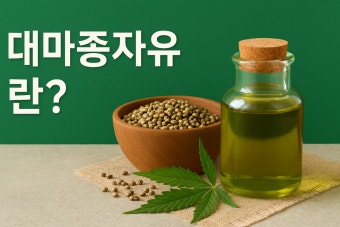  대마종자유 어디에 좋은가요? 전문가가 쉽게 설명하는 헴프씨드 오일 효능