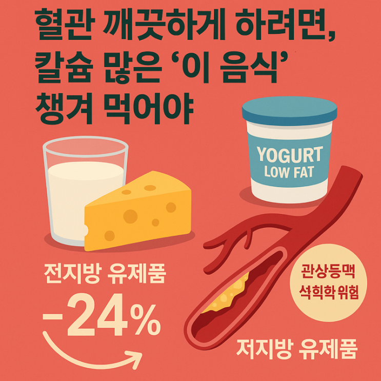   유제품이 혈관을 깨끗하게? 칼슘과 단백질의 숨은 비밀