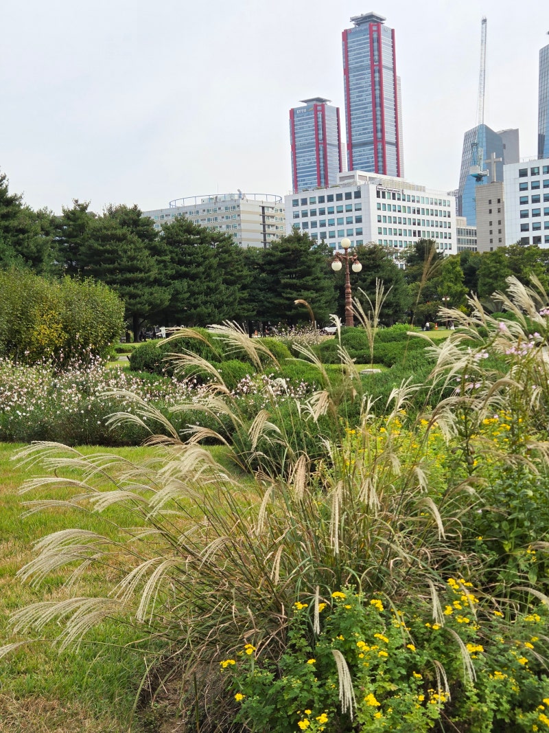 정책지식 2025.10.31. : 네이버 블로그