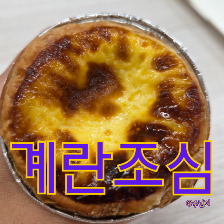  따뜻한 에그타르트 한입! 양정 카페 계란조심 내돈내산
