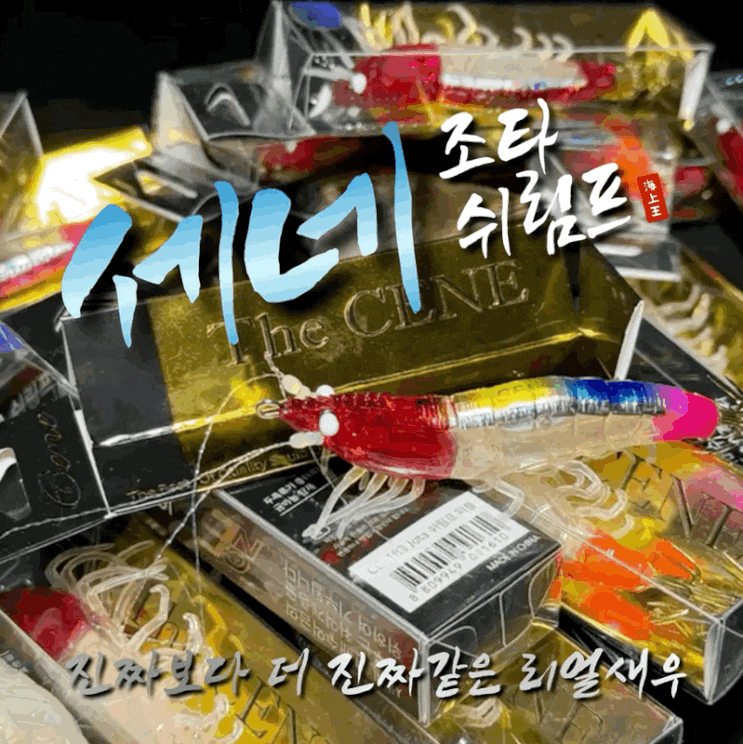  세네 조타 쉬림프 에기로 갑오징어 낚시 준비 끝