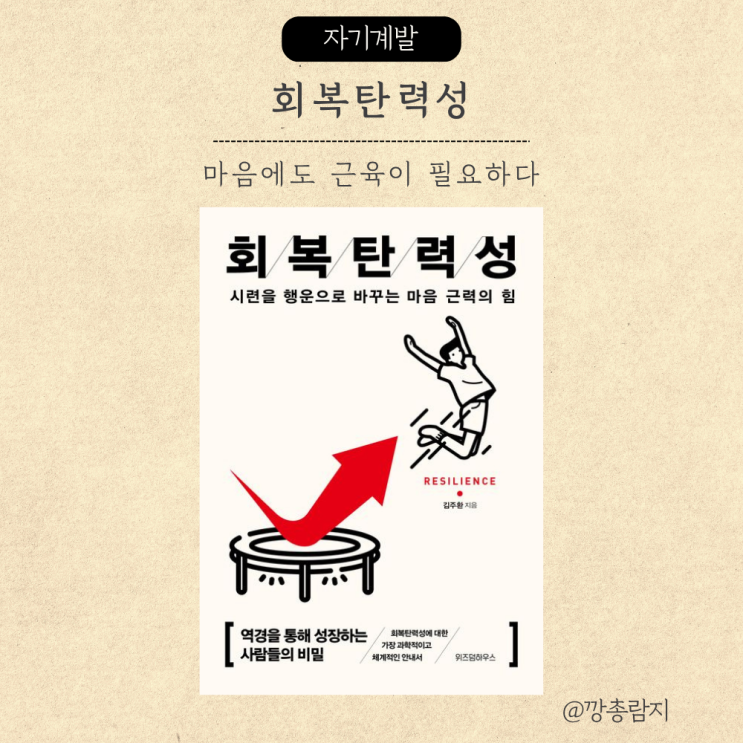  회복탄력성ㅣ무너져도 다시 일어나는 힘ㅣ김주환