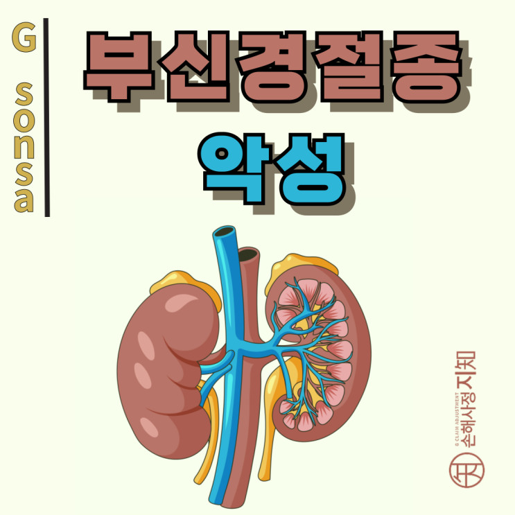  부신경절종 악성 – 보험사 거절 뒤집은 실제 보상 사례 공개 - [보험금, BA+DA]