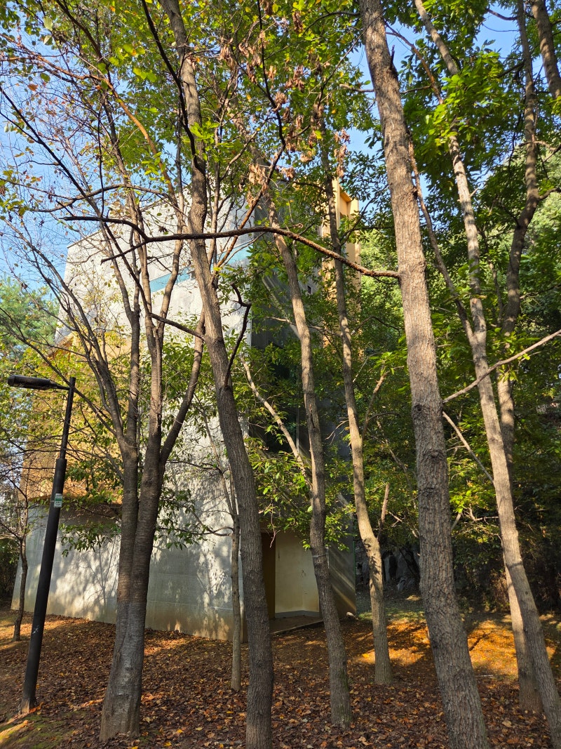 정책지식 2025.10.31. : 네이버 블로그