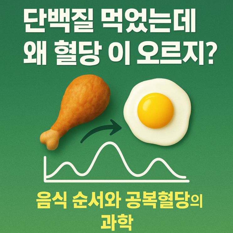   “단백질 먹었는데 왜 혈당이 오르지?” — 음식 순서와 공복혈당의 과학