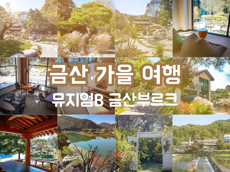 사진 5