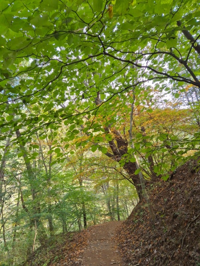 사진 5
