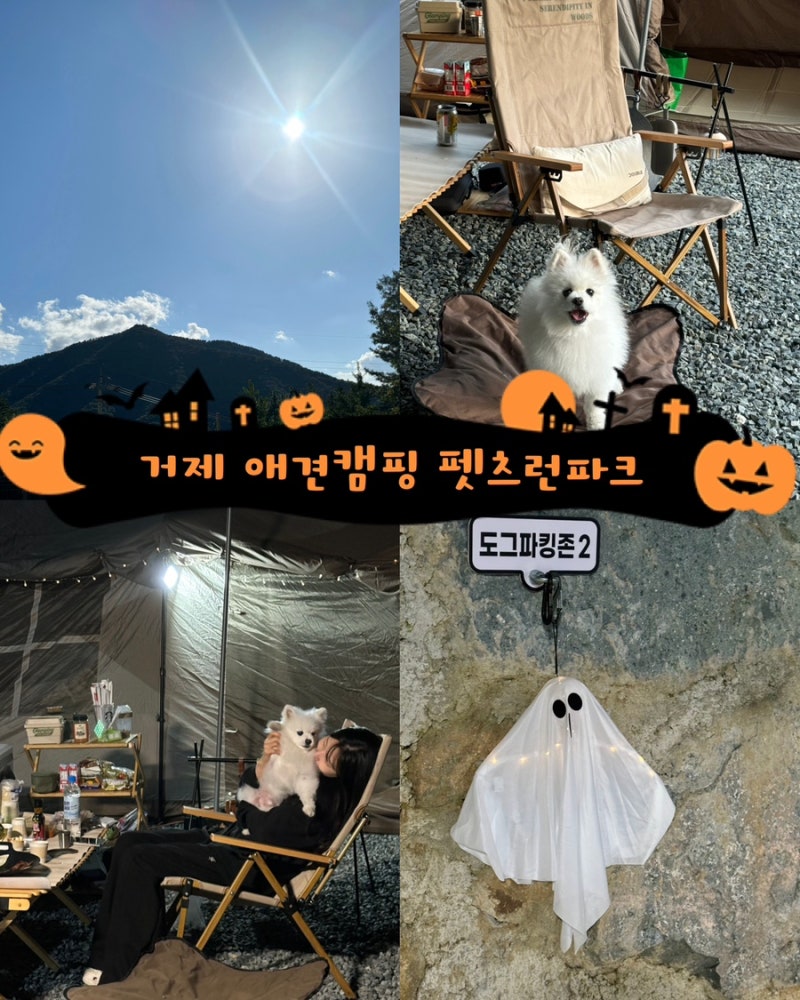 펫츠런파크