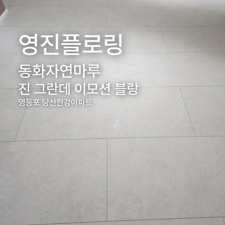  진 그란데 이모션 블랑 영등포 당산 한강아파트 시공 사례