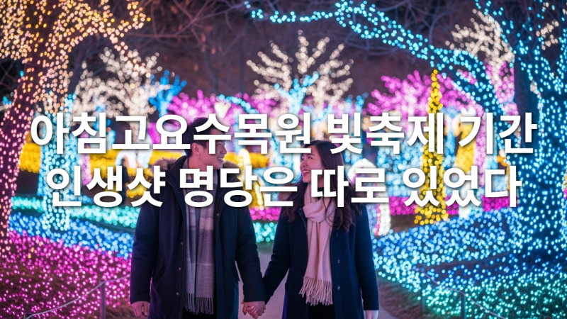 아침고요수목원 빛축제 기간, 인생샷 명당은 따로 있었다