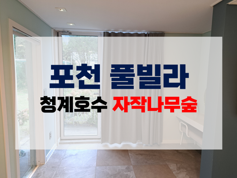 사진 10