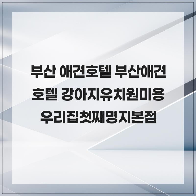 사진 5