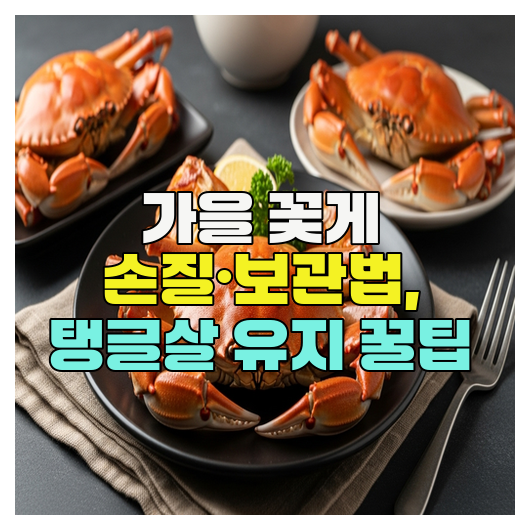  가을 꽃게 손질·보관법, 탱글살 유지 꿀팁