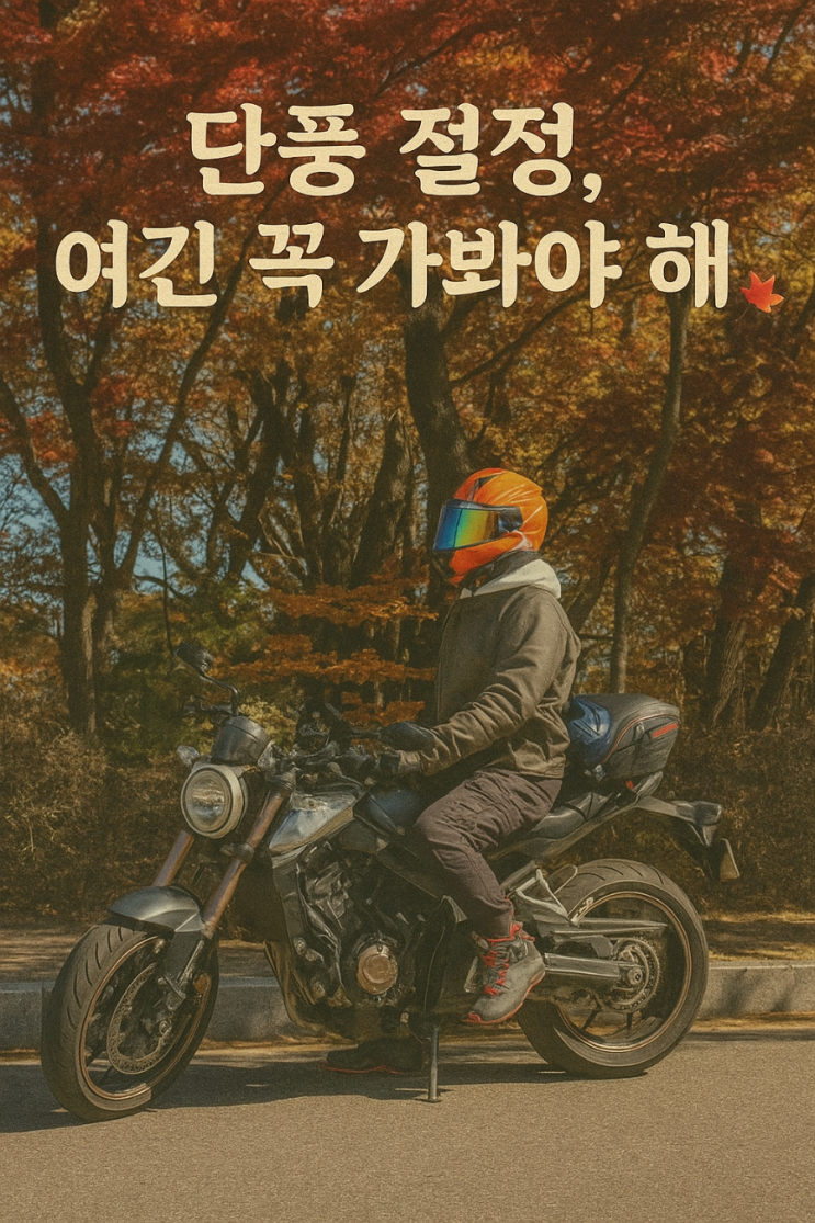  무주 적상호전망대 가을 여행  단풍뷰 맛집 추천 후기