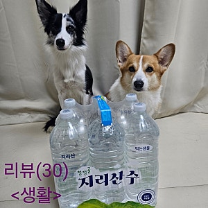 (물 추천)무라벨 청정골 지리산수 물 후기