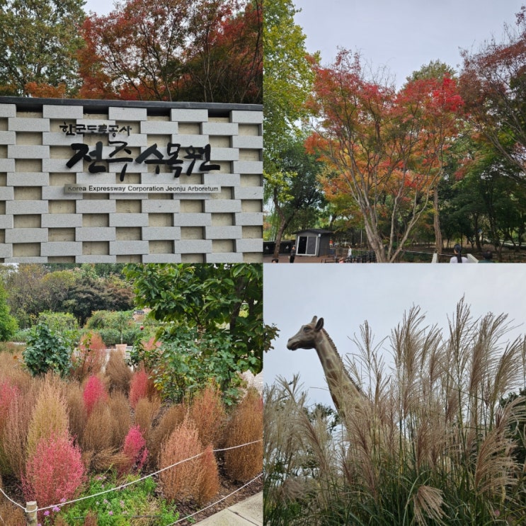 전주 가을여행지 한국도로공사 전주수목원 단풍명소 단풍구경