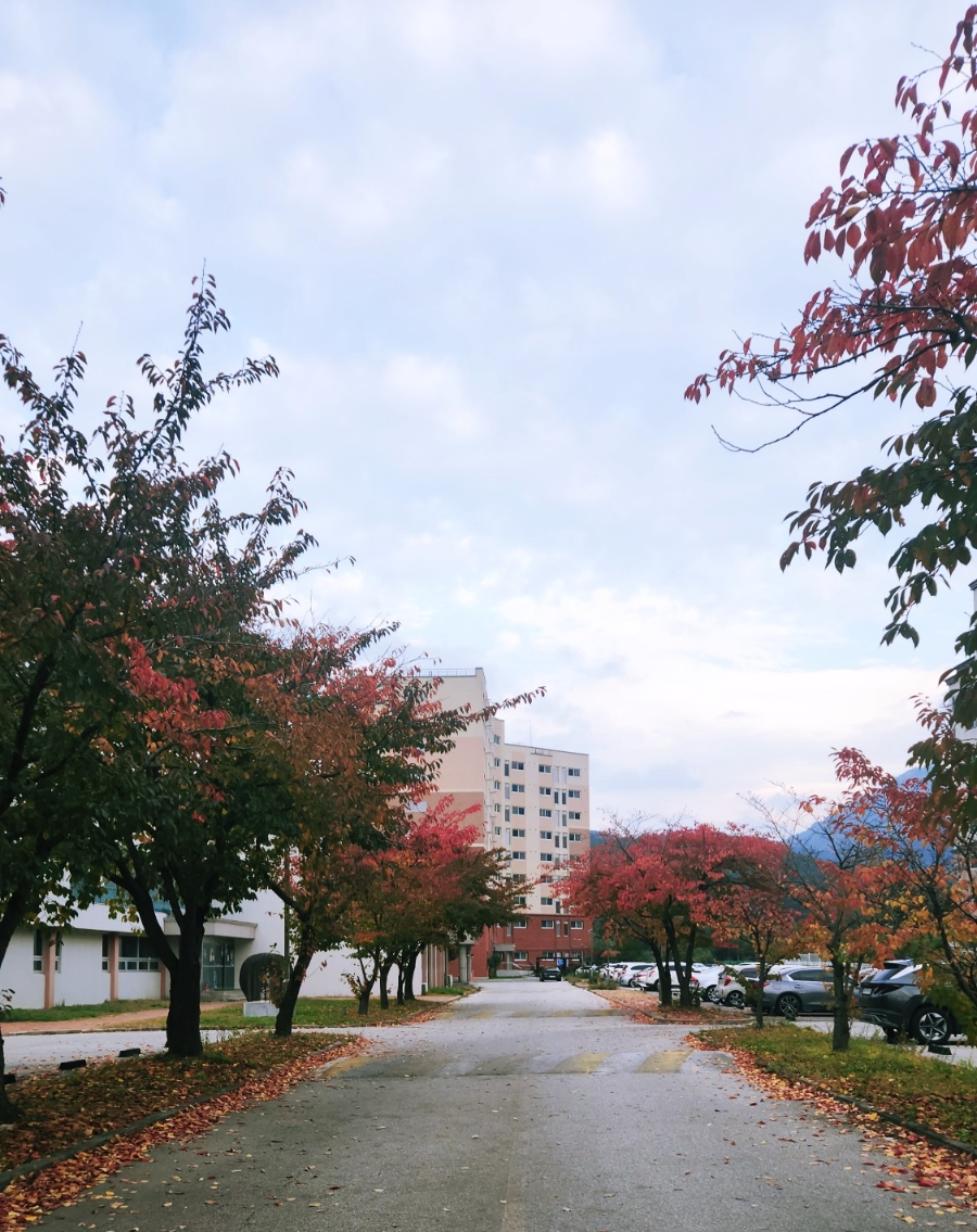 산악코스텔 사진 3