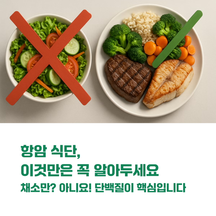  항암치료, '잘 먹는 것'이 가장 중요한 이유 (암 식단 5대 기본 원칙과 오해)