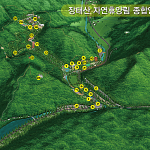 "대전 힐링 명소" 장태산 자연휴양림 캠핑장 명당 자리 소개 및 가격정보
