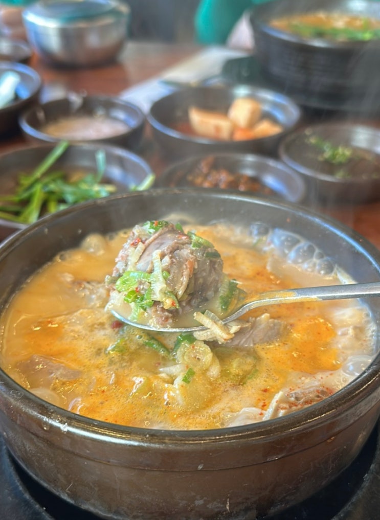  진주 평거동 잡내없는 돼지국밥 맛집 혼밥환영 평거옥