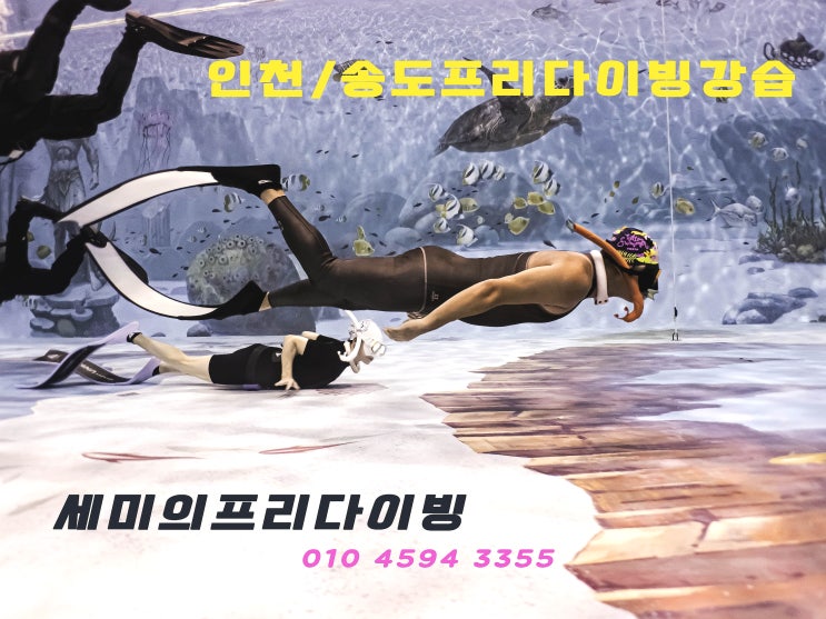  프리다이빙강습(시흥/안산/인천) 기초프리다이빙자격증반 배우기