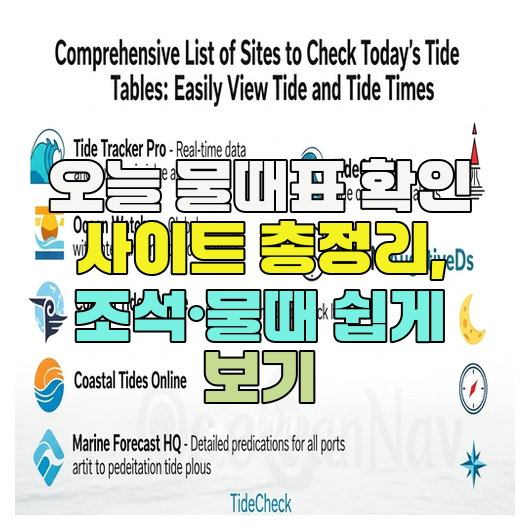 오늘 물때표 확인 사이트 총정리, 조석·물때 쉽게 보기