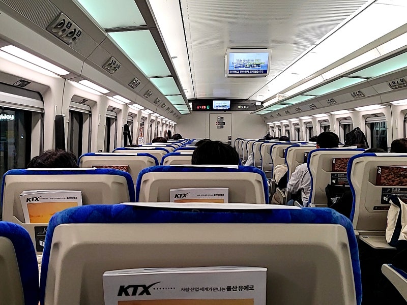 서울역 ktx 이음 자유석 입석 뜻 | 예매 체크인 및 타는 법 후기