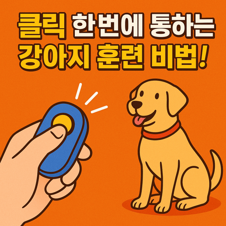  클릭 한 번으로 훈련 완성! 강아지 클릭커 훈련 기초 가이드 