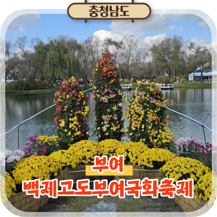  부여 갈만한곳 궁남지 백제고도부여국화축제 가을여행지 추천