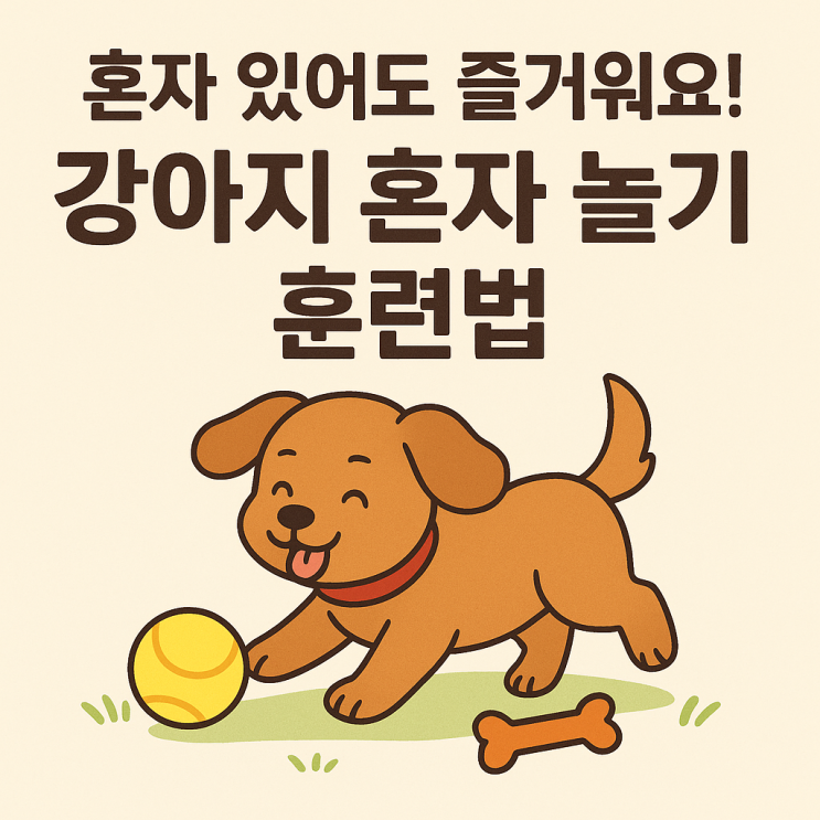   강아지 혼자 놀기 훈련이 필요한 이유