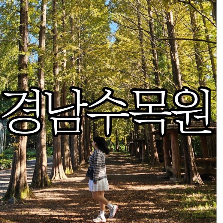  경남11월 가볼 만한 곳 창원 인근 단풍 명소 '경상남도수목원'