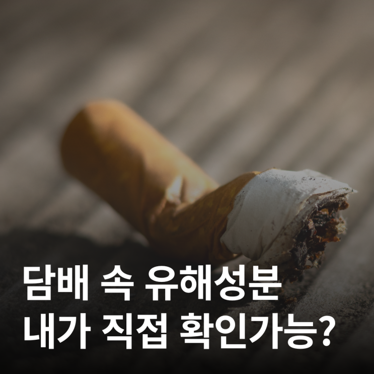  담배 속 유해성분, 이제 내가 직접 확인가능?