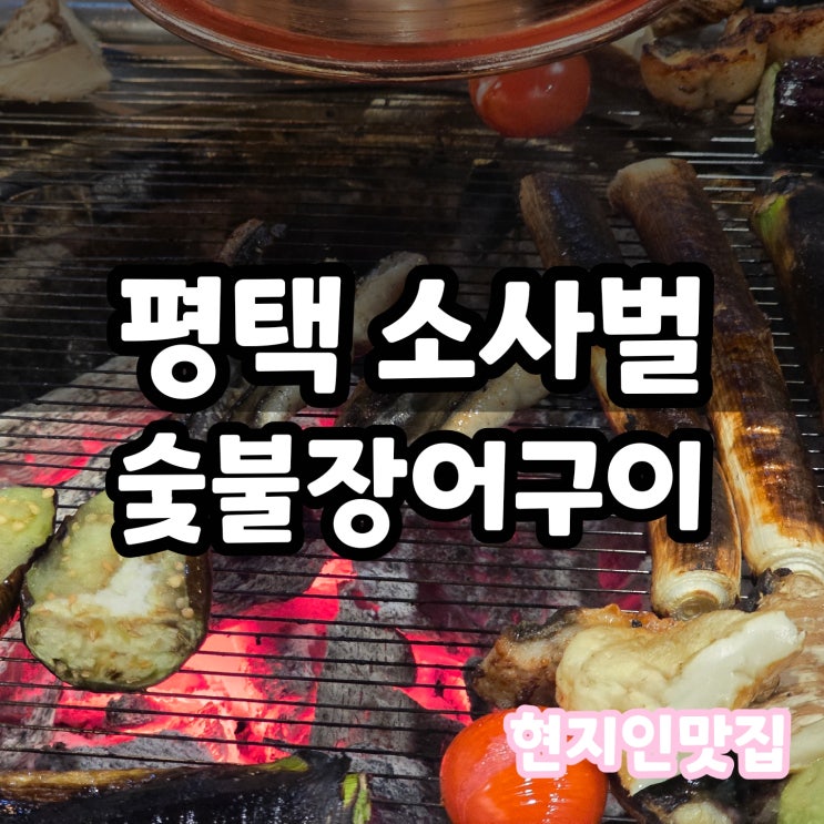  평택 비전동 맛집 소사벌 숯불 장어구이 후기