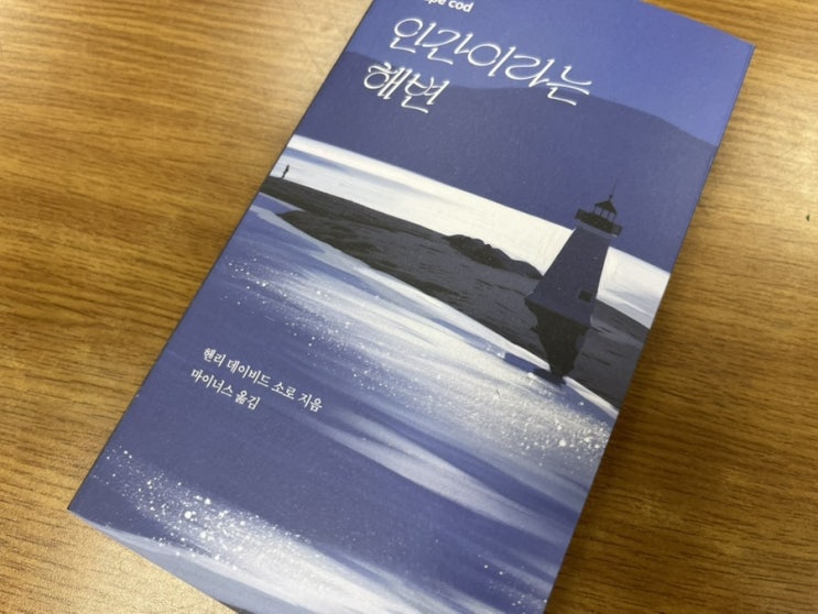  해변에서 인간을 보다: 헨리 데이비드 소로의 사색이 남긴 여운