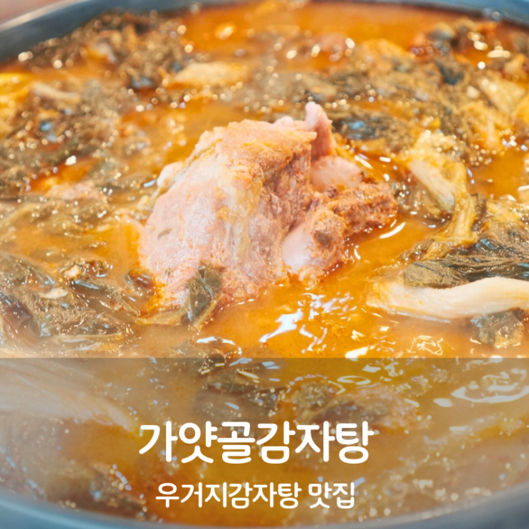  동탄 맛집 가얏골감자탕 우거지 감자탕 칼로리 끓이는법