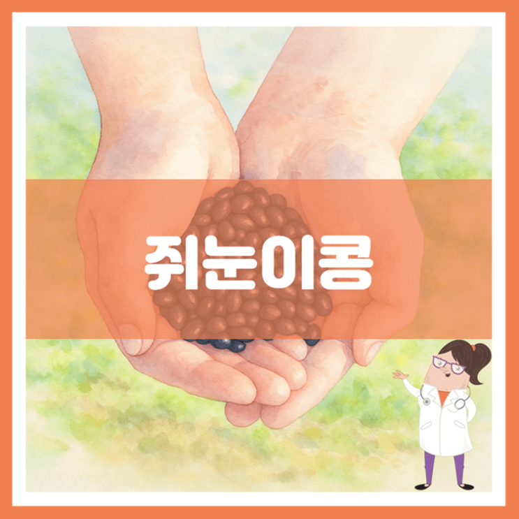  쥐눈이콩 효능 부작용 보관방법