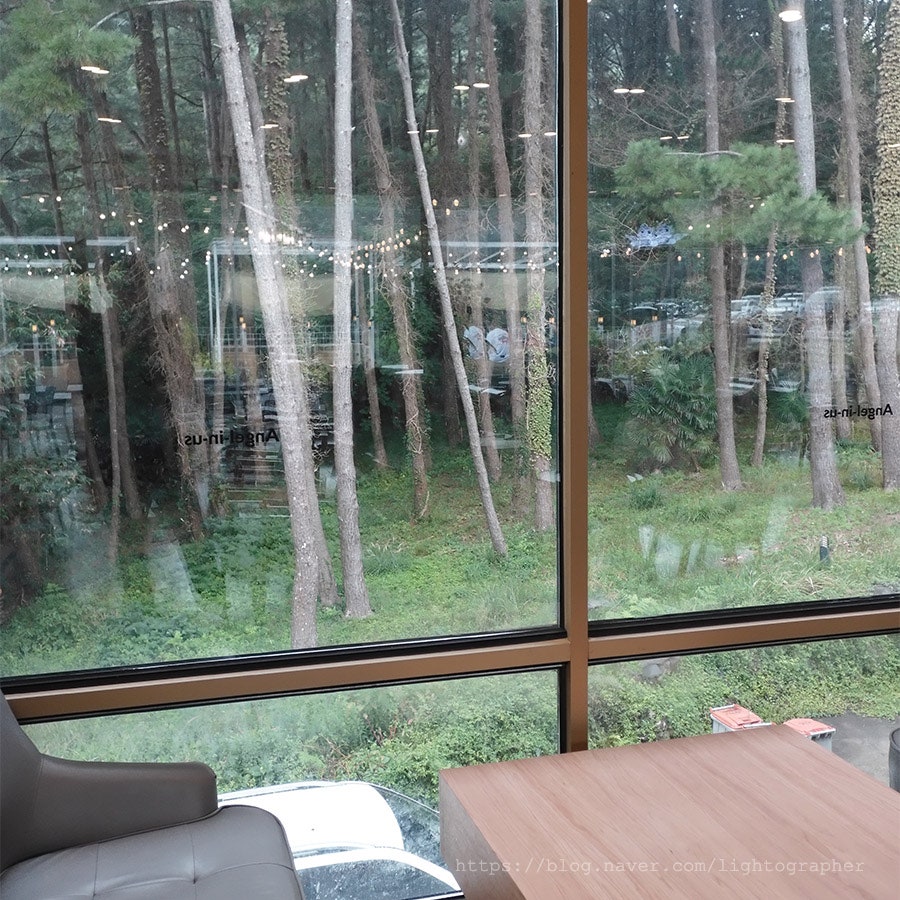 엔제리너스 한라수목원점 사진 5