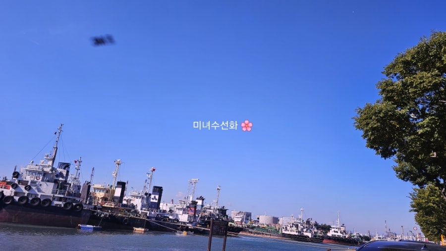 진향한식 사진 5