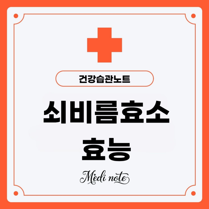 쇠비름효소 효능 숨겨진 건강 파워를 깨우다
