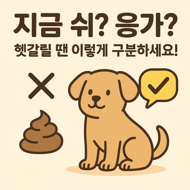   강아지 쉬·응가 신호 구분법 (배변 성공률 100% 올리기!)